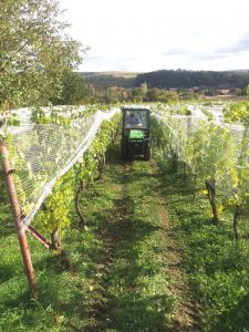 Vinobraní ve Skalce 2017